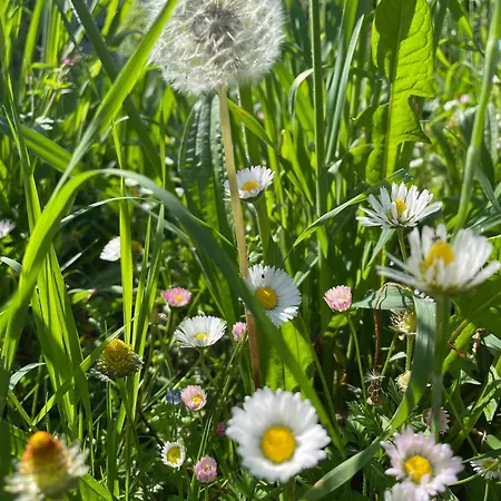 Pensionat La Casa Degli Artisti Castel Maggiore